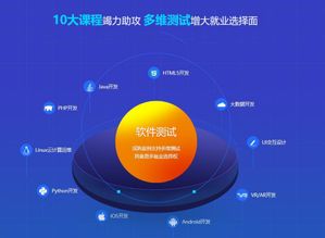 专业软件测试快速学习指南 东志供应的实践之路